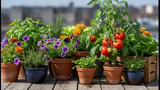 The Right Potting Mix Can Make Small-Space Gardening Easier