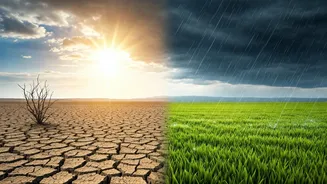 Rainfall Drama Is Driving Holiday Decisions Now
