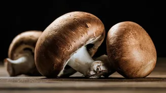 Rainy Season Mushroom Safety: Identification, Storage And Cooking Tips
