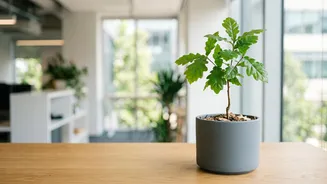 Everyday Saving And Investing Habits Take Centre Stage In Wealth Building: What The Story Means In 2026