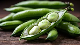 Fava Beans Make Legume Love Feel Trendy