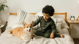 Pet allergies? Try these game-changing dog bedding solutions