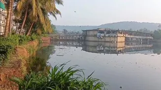 100 People on Dance Floor, Narrow Exit: How Panic Led to Tragedy in Goa Nightclub, Eyewitness Recalls