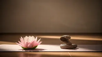 Kundalini Yoga for Beginners: Poses, Benefits, and Safety Explained