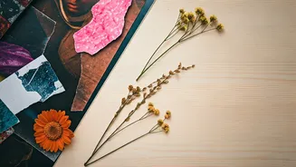 Unlock Your Inner Artist: Collage as a Beginner-Friendly Self-Care Ritual