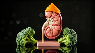 Kidney Health: Foods to Embrace & Avoid