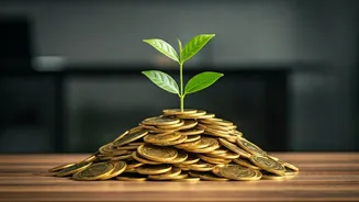 Career Choices Now Start With Money Reality
