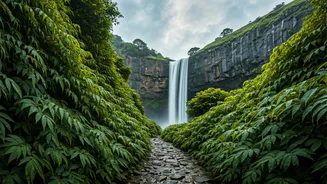 The Rainy Season's Most Magical Walk Starts Here