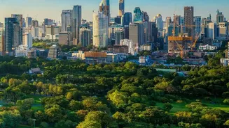 The Benefits of Urban Greenery Extend From Environment to Everyday Wellbeing