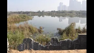 ‘I Slipped, There Was No Ground’: Trucker Recalls Near-Fatal Crash At Noida Site Where Techie Died