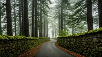 Summer Travellers Want Landour’s Slow Mountain Mood