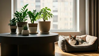 Indoor Plants Are Changing Urban Pet Homes