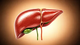 Liver Detox: Morning Habits for Vitality & Metabolism