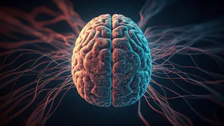 Your Brain Detects AI Voices, Even When You Can't Consciously Tell