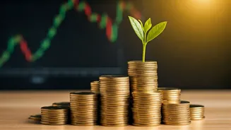 Groww IPO: Potential Gains & Launch Details Unveiled