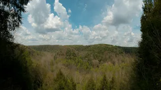 How Cloud Seeding Can Help Combat Wildfires in India