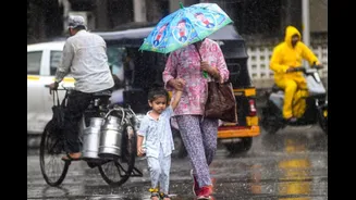 NCR Rain Update: More Thunderstorms In Delhi, Noida, Gurugram Till Tomorrow? What IMD Says