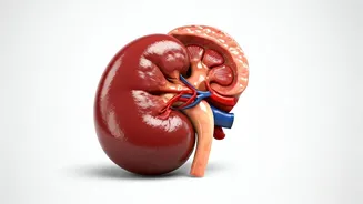 High-Dose Vitamin D: Are You Overdoing It?