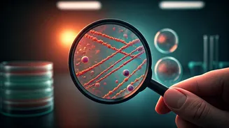 The Research Trend Anyone Can Join