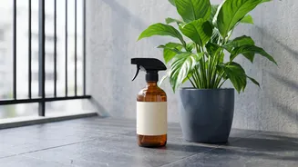 Natural ways to protect balcony plants