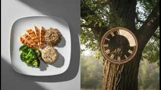 An 18-month Diet Comparison Gives Intermittent Fasting a Timely Reader-Service Angle