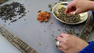 Seed sorting meditation: What it is, why it's important