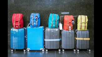 'Entering a sustained recovery cycle': Elara bets on luggage stocks for up to 37% upside