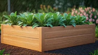 Raised Beds Are Basically Rain Insurance For Plants