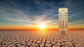 India's Sizzling Scorcher: UP and West Bengal Cities Hit a Sweltering 46°C Amidst Heatwave