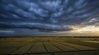 El Niño Could Affect Monsoon Patterns: Understanding The Indian Context