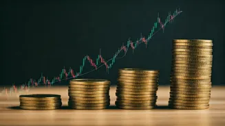 Equity Funds Shine: Stellar Returns in a Challenging Year