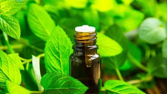 Understanding the Limits of Herbal Headache Advice: Peppermint Compresses