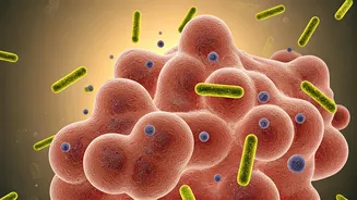Gut Health Is Getting A Diversity Makeover