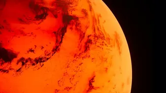 Student Experiments Are Exploring The First Steps Towards Martian Agriculture