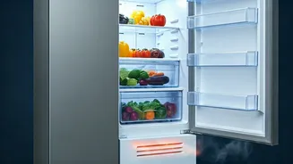 Summer Fridge Safety: Avoid Overheating and Explosions with These Essential Tips