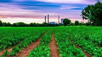Future Harvests Depend on Biological, Physical and Chemical Soil Health