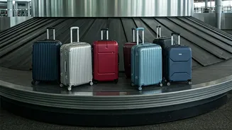 Find The Best Wheel Trolley Bags For Travel