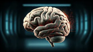 AI's Job Revolution: Palantir CEO Identifies Two Groups Unaffected by Automation