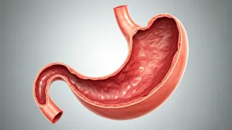 Binge Eating: A Deeper Look Beyond Willpower