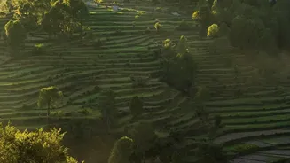Young travellers visit Ziro Valley using sustainable homestays and approved Inner Line Permits