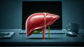 Related Stories banner