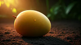 India's Mango Obsession Continues
