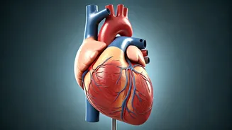 What Heart Condition Killed Kashmiri Student?