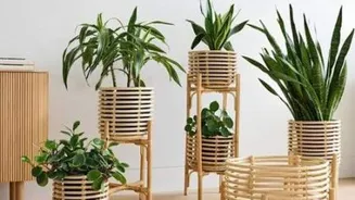 Mid-century cane planters: A stylish decor update