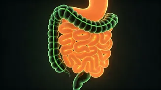 Fast Eating May Confuse Your Fullness Signals