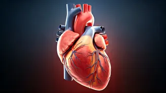 US Cardiologist's 10 Tips for a Longer Life