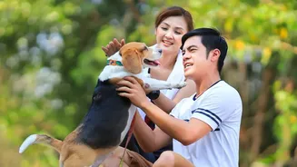 Pet Owners’ Guide To Preventing Tick Problems During The Rainy Season