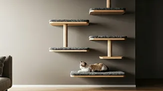 Modify Compact High Rise Apartments With Soft Cat Shelves