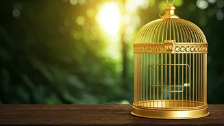 Related Stories banner