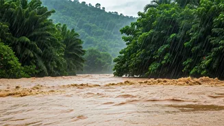 How To Handle Red Alert In The Western Ghats